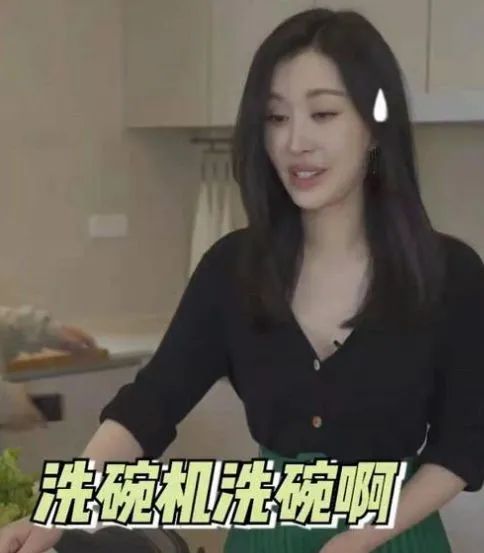 默克菲尔免清洗洗碗机第一品牌